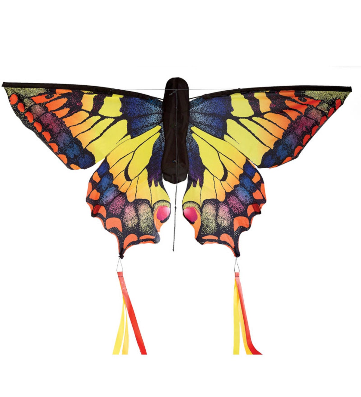Swallowtail Kite