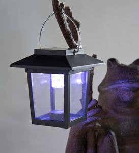 Walking Frog with Solar Lantern