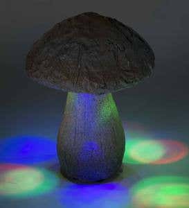 Lighted Color-Changing Mushroom Sculptures, Set of 2