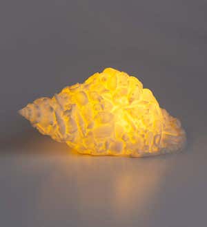 Battery-Operated Lighted Shell Lamp