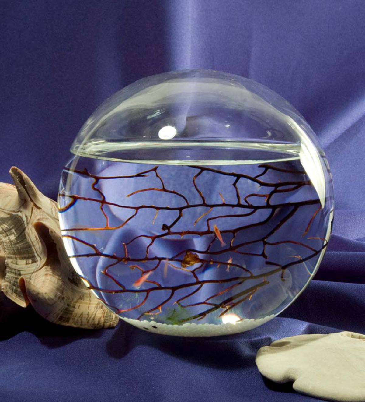 EcoSphere Large Sphere, The World's First Totally Enclosed Ecosystem