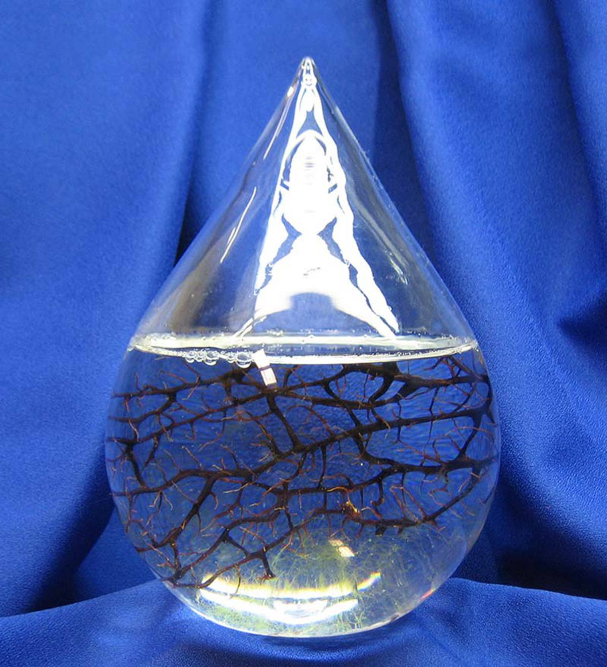 EcoSphere Small Water Drop, The World's First Totally Enclosed