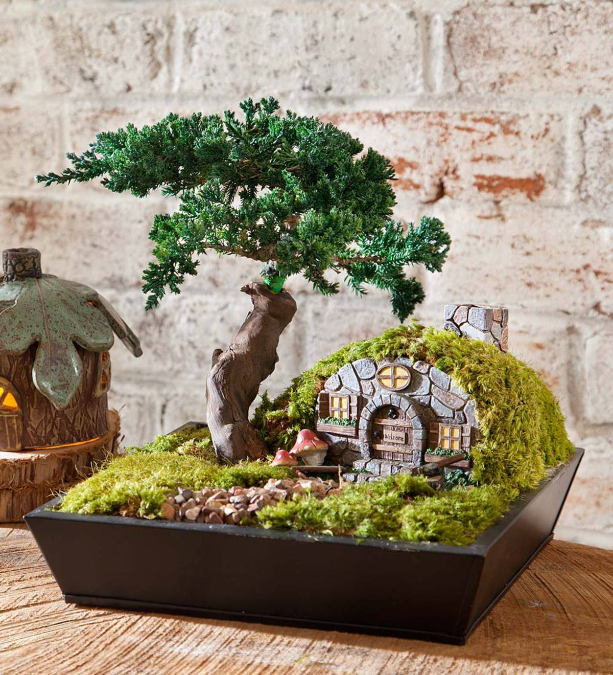 Gnome Home with Preserved Juniper Bonsai Tree