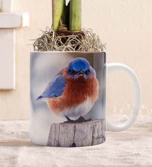 Ceramic Mad Bluebird Mug