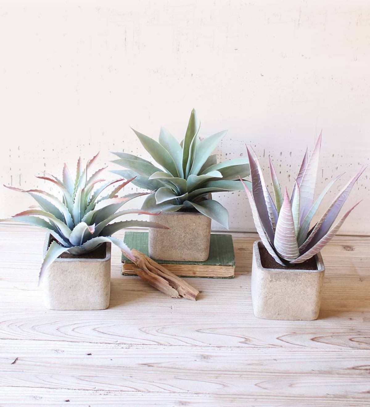 Assorted Faux Succulents in Square Pots, Set of 3