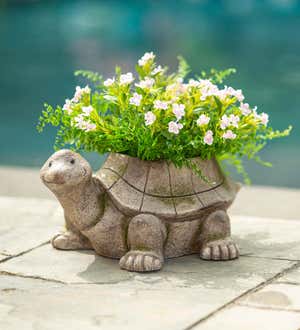 Smiling Turtle Cast Magnesium Planter with Look of Carved Stone