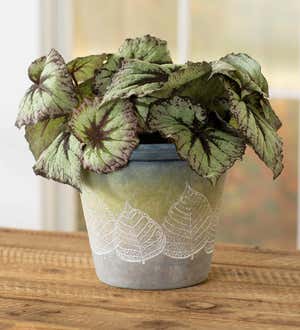 Handcrafted Earthenware Flower Pot with Fossilized Leaf Motif