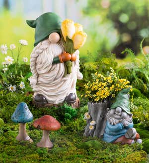 Long-Bearded Gnome with Solar Lighted Flowers