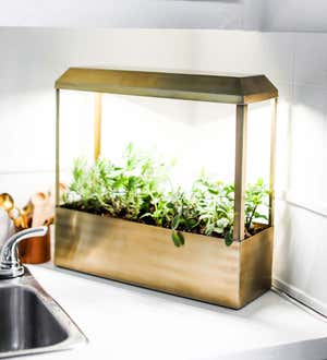 Modern Sprout Brass-Plated Indoor Smart Growhouse - Brass