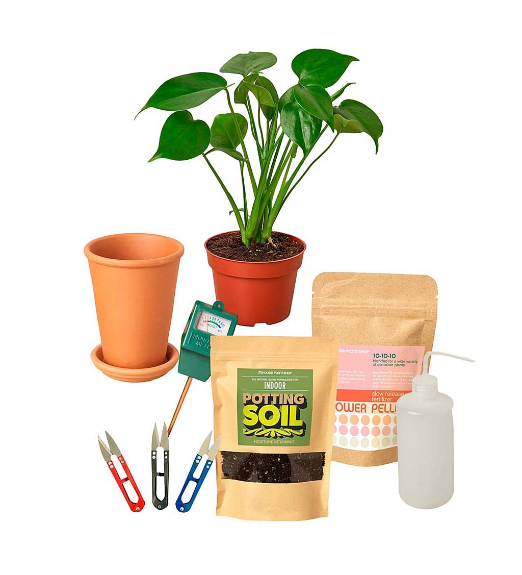 All-in-One New Plant Parent Kit