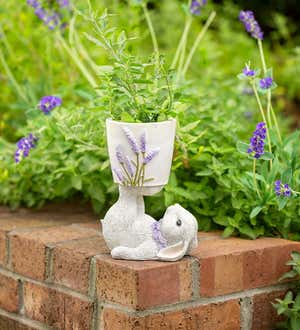 Bunny Lavender Planter