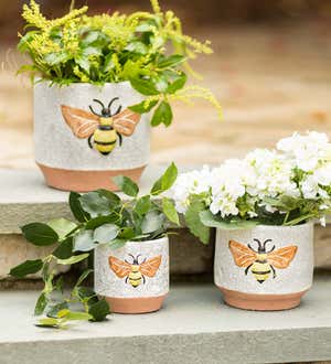 Terra Cotta Bee Planters, Set of 3