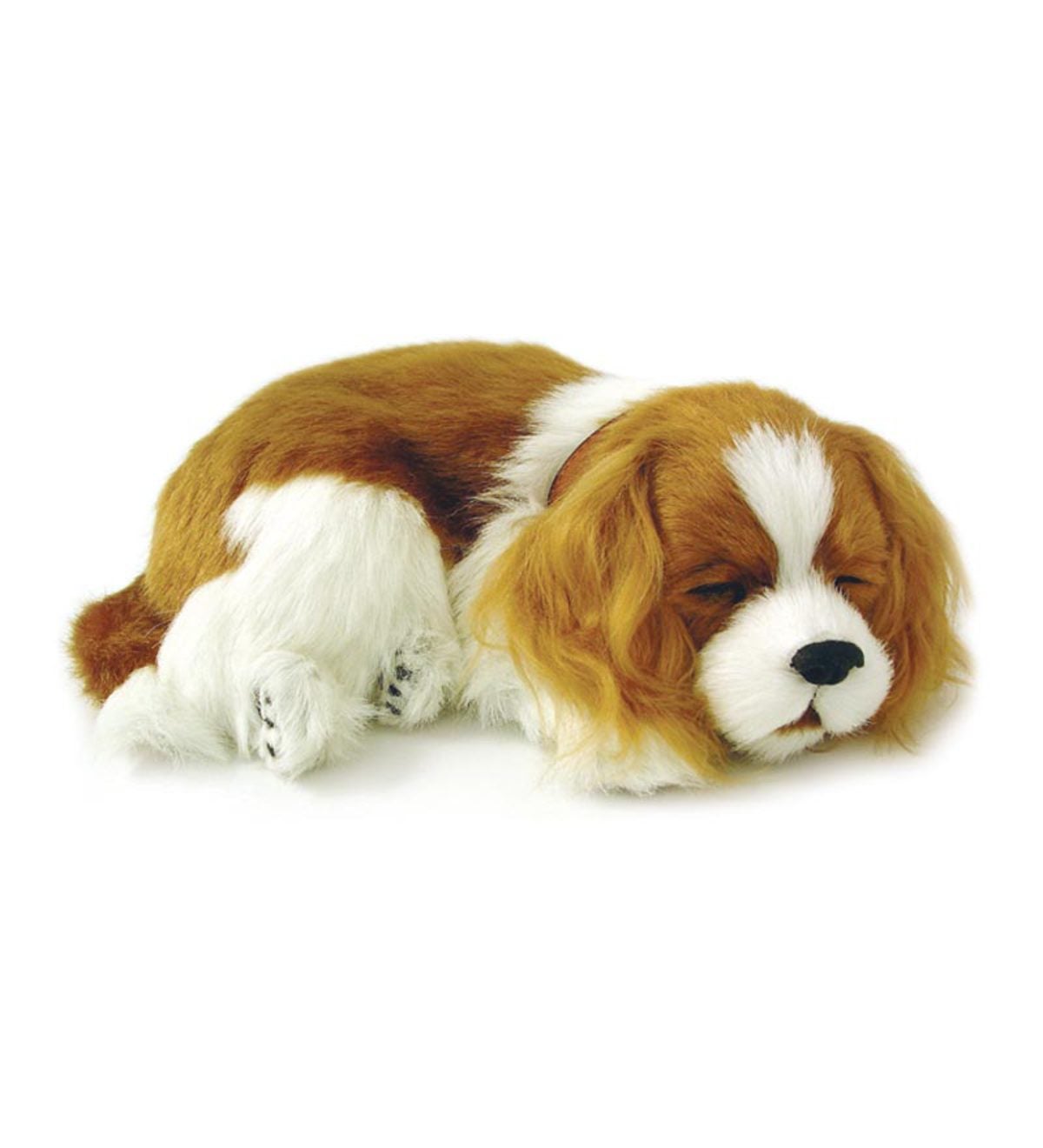 Perfect Petzzz Puppy - Cavalier King Charles