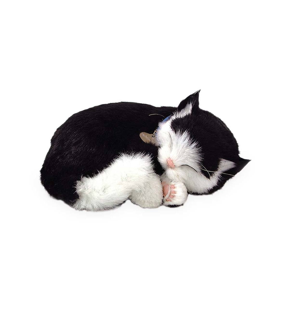 Perfect Petzzz Kitty - Black&White