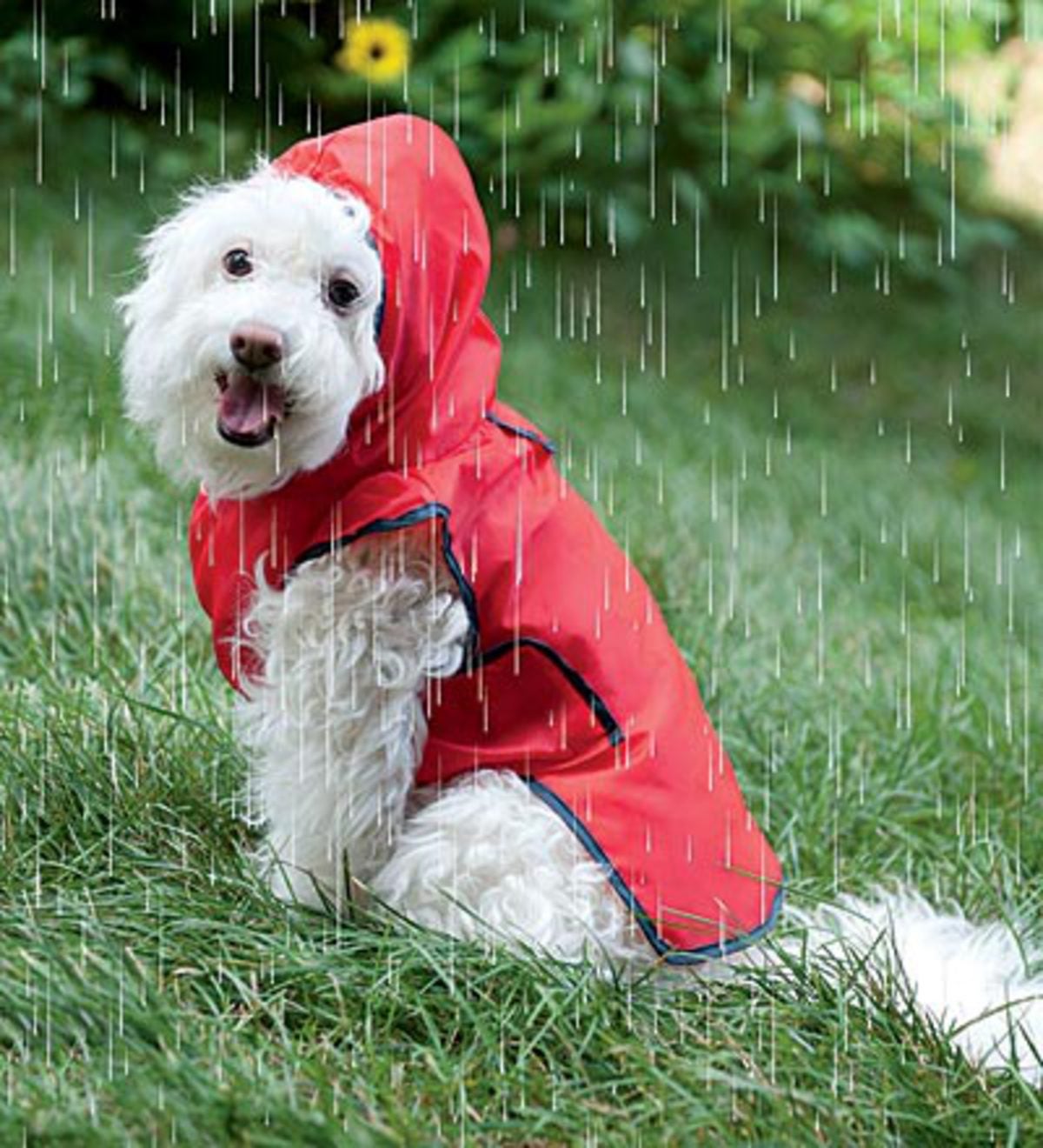 Roll-N-Go Dog Raincoat - Size=XS/SM fits back length 8