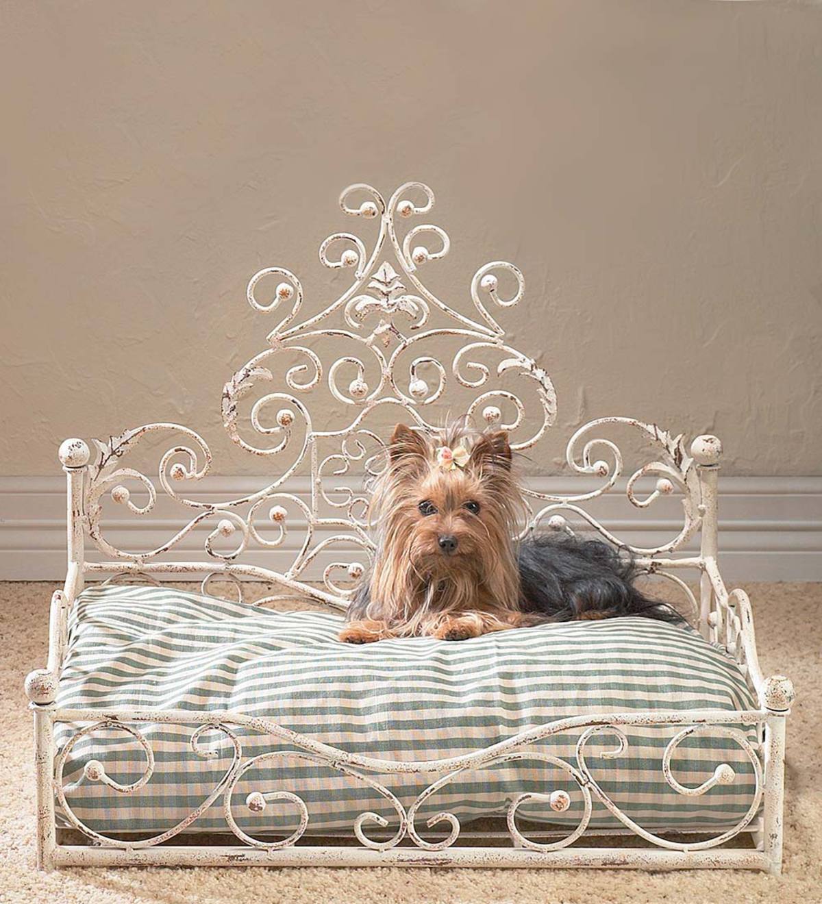 Iron Scrollwork Pet Daybed
