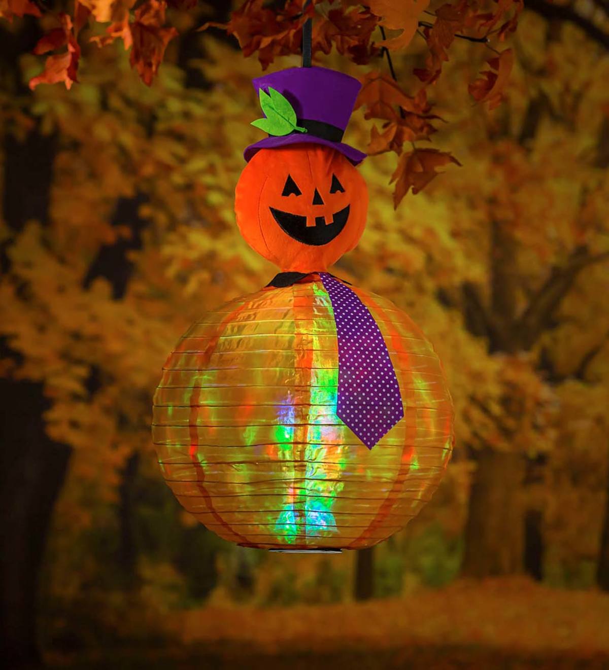 Beaming Buddies Mr. Jack-O-Lantern Collapsible Halloween Lantern