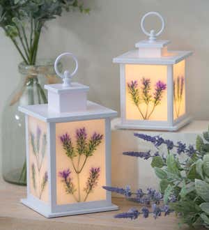 LED Floral Lantern, Set of 2