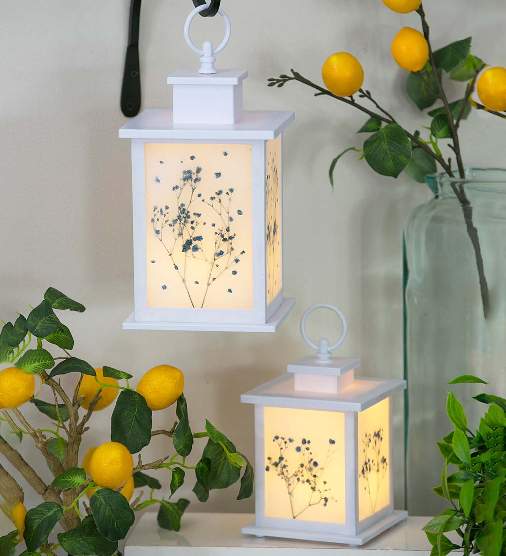 LED Floral Lantern, Set of 2