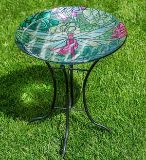 Dragonfly and Succulents Glass Birdbath Basin with Stand