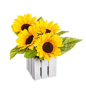 Sunflowers and Gerber Daisies in White Fence Pots, Set of 2