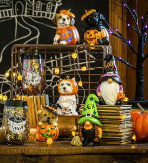 LED Puppy in a Pumpkin Figures, Set of 4