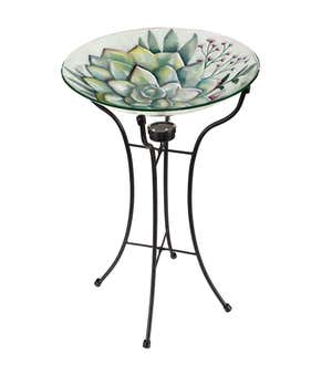 Glass Succulent Solar Birdbath Stand