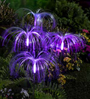 Fiber Optic Garden Stake with RGB Lights, Set of 4