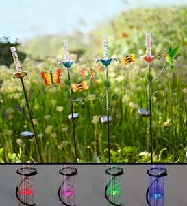 Color-Changing Solar Flower Rain Gauge - Dragonfly