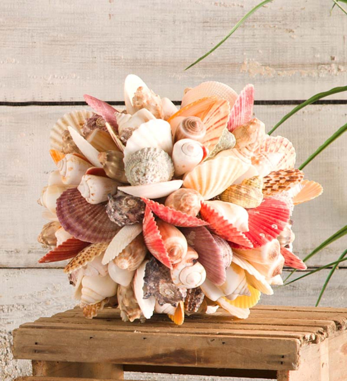 Colorful Shells Ball Accent