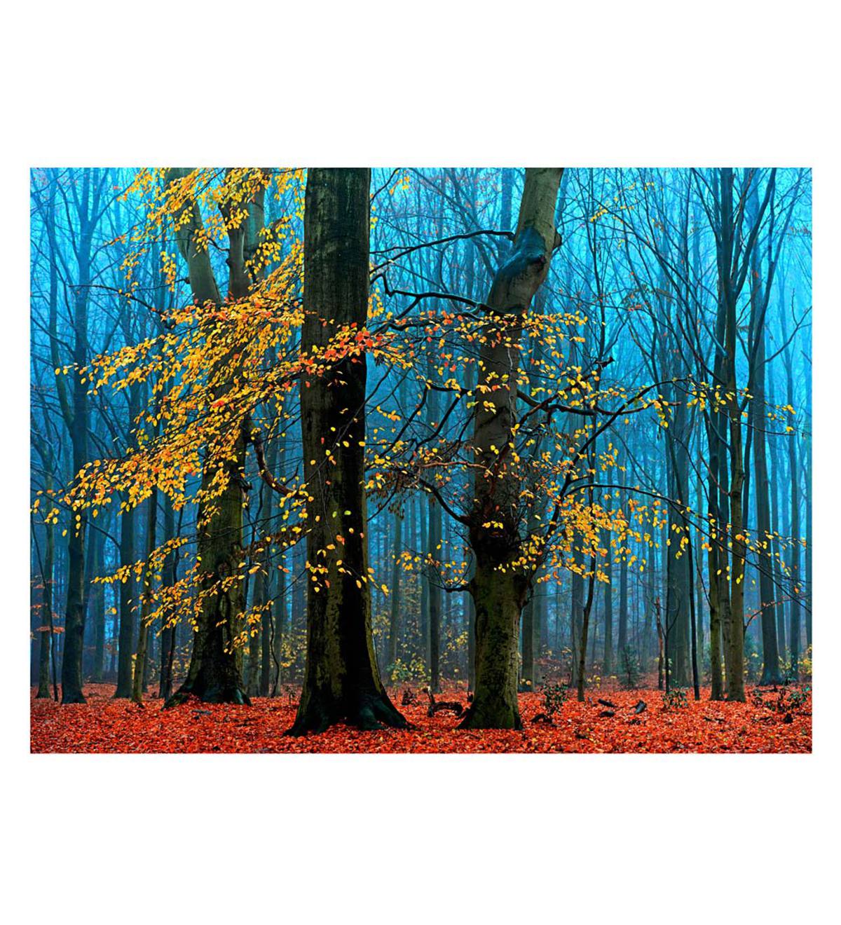 Colorful Autumn Forest Indoor/Outdoor Wall Art on Canvas
