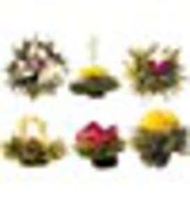 Tea Flowers, set of 12