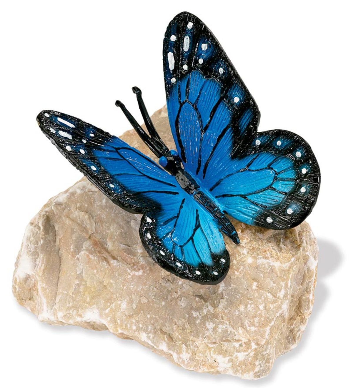 Resting Butterfly - Blue