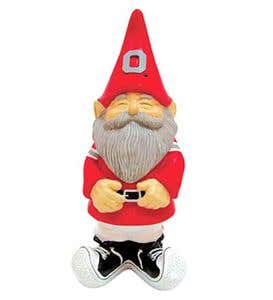Collegiate Gnome - Ohio State University