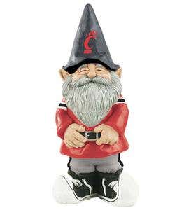Collegiate Gnome - University of Cincinnati