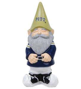 Collegiate Gnome - University of Pittsburgh