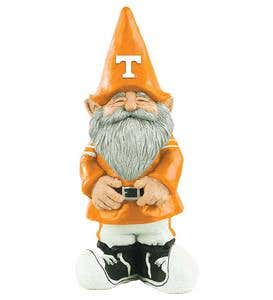 Collegiate Gnome - University of Tennessee