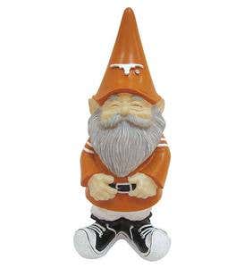Collegiate Gnome - University of Texas