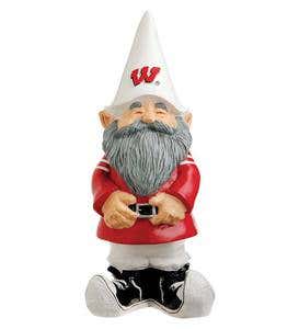Collegiate Gnome - University of Wisconsin