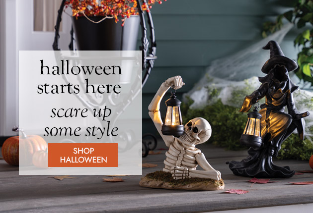 image of skeleton and witch - halloween starts here everything you need for a spooktacular season SHOP HALLOWEEN DECOR