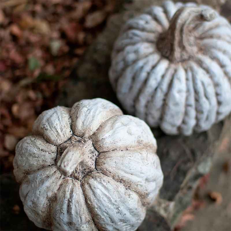 Faux Concrete Distressed Look White Pumpkin, Short