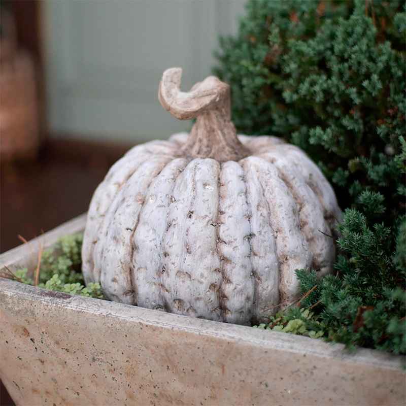 Faux Concrete Distressed Look White Pumpkin, Short