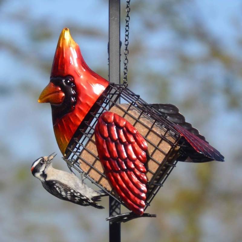 Chickadee Farm Stainless Steel Suet Bird Feeder – Large 3-Quart Hanging Dome Feeder