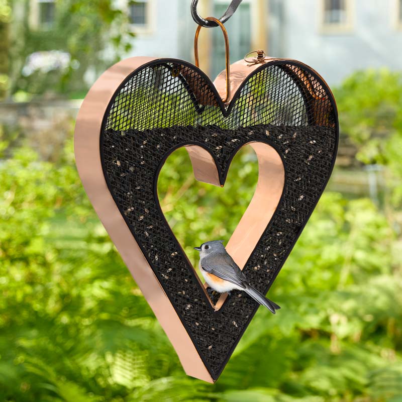 Be Still My Heart Fly-Thru Bird Feeder