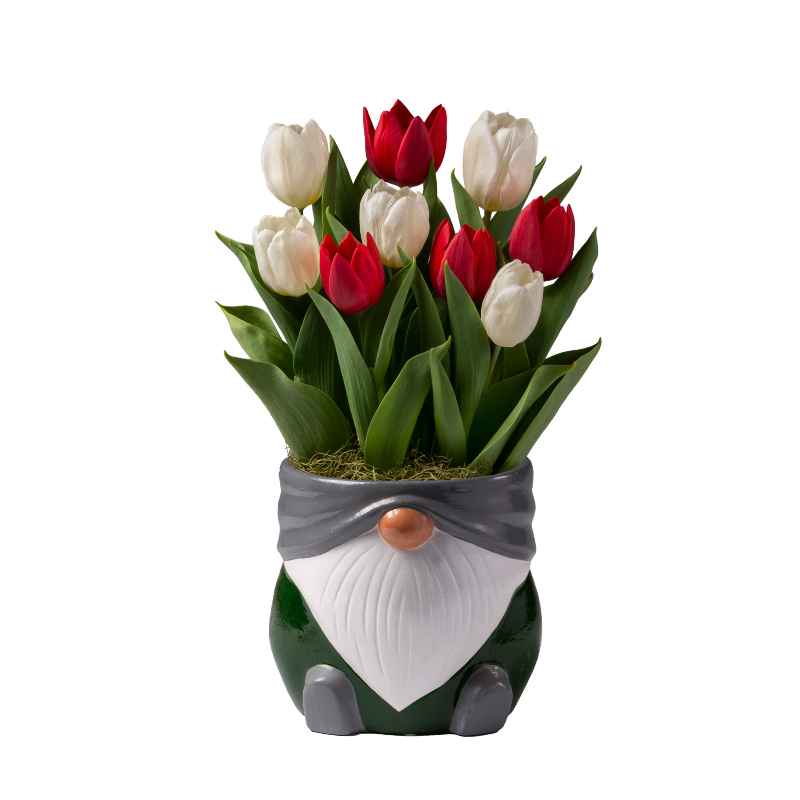 Tulips in Ceramic Gnome Planter