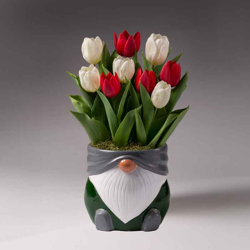 Tulips in Ceramic Gnome Planter