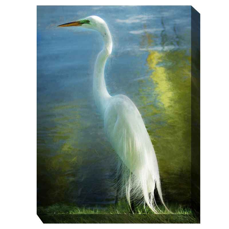 Waterproof Canvas Art - Poised Patience