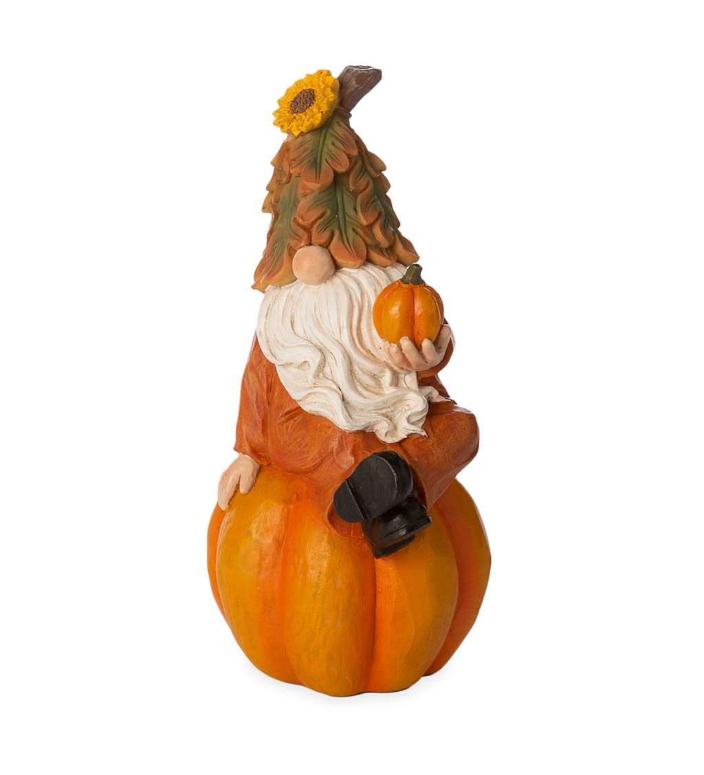 Happy Harvest Gnome on Pumpkin