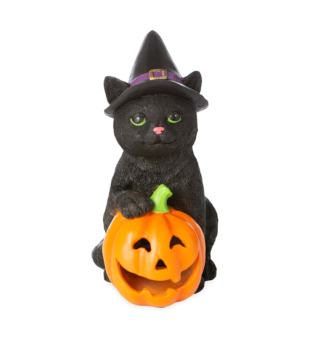 Black Halloween Kitten with Pumpkin
