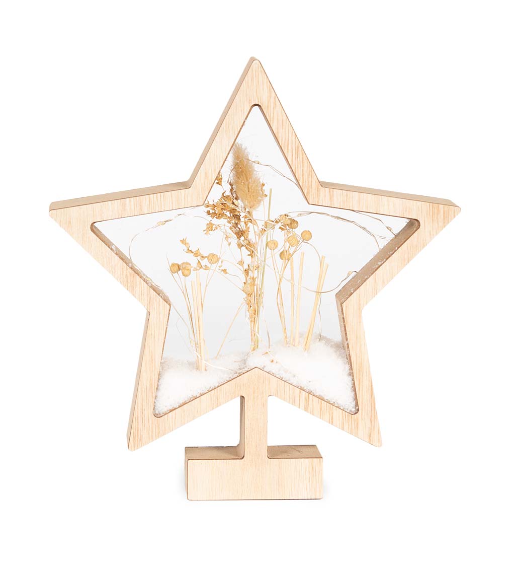 Wooden LED Holiday Star with Fairy Lights